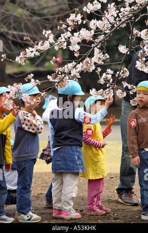 Tokyo Japan reisen Kirschblüten Garten grün rosa Brige Brücke japanische Tradional Sonne sonnig draussen Schönheit kühlen Sommer spri Stockfoto