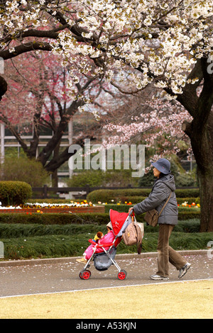 Tokyo Japan Kirschblüten Garten grün rosa Brige Brücke japanische Tradional Sonne sonnig im freien Körper Mutter Reiselandschaft Stockfoto