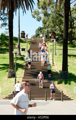 Die Flotte Schritte in den Royal Botanic Gardens in Sydney Australia Stockfoto