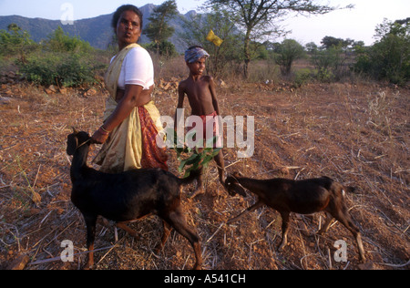 Painet ha2444 5275 Indien Landwirtschaft Mutter Sohn Ziegen Tamil Nadu Land entwickeln Nation wirtschaftlich entwickelten Kultur Stockfoto