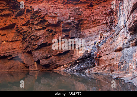 Handlauf-Pool in Weano Gorge Karijini National Park Pilbara Region western Australien WA Stockfoto