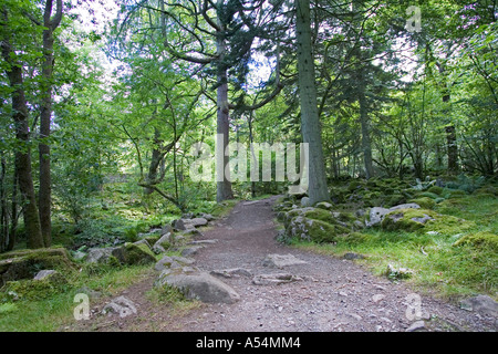 Dalegarth für Messestand (Boot), GBR, 20. Aug. 2005 - öffentlichen Fußweg durch den Wald in Eskdale Bereich im Lake District. Stockfoto