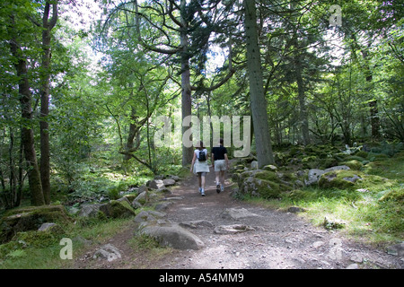 Dalegarth für Messestand (Boot), GBR, 20. Aug. 2005 - öffentlichen Fußweg durch den Wald in Eskdale Bereich im Lake District. Stockfoto