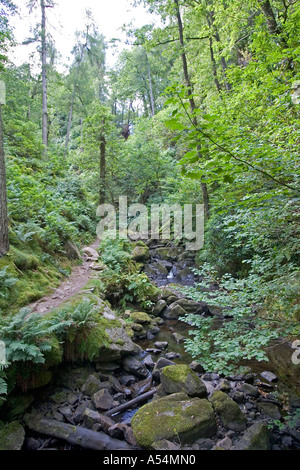 Dalegarth für Stand, GBR, 20. Aug. 2005 - kleines Rinnsal in Eskdale Bereich im Lake District. Stockfoto