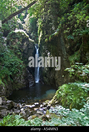 Dalegarth für Messestand (Boot), GBR, 20. Aug. 2005 - Stanley Ghyll Wasserfall in Eskdale Bereich im Lake District. Stockfoto