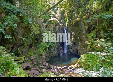 Dalegarth für Messestand (Boot), GBR, 20. Aug. 2005 - Stanley Ghyll Wasserfall in Eskdale Bereich im Lake District. Stockfoto