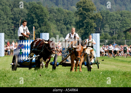 Finale laufen, erste Oxrace von Bichl, 8. August 2004, Oberbayern, Deutschland Stockfoto