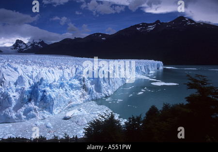 Perito Moreno Glacier, Nothofagus Südbuchenwald und Lago Argentino, in der Nähe von El Calafate, Patagonien, Argentinien Stockfoto