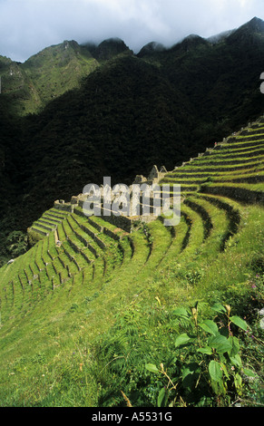 Landwirtschaftlichen Terrassen am Inka-Stätte von Wiñay Wayna, Inka-Trail, Peru Stockfoto