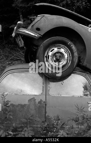 Alte Autos im Wald aufgegeben. Schweden Stockfoto