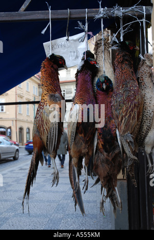 Fasane vor Metzgerei, Prag, Tschechische Republik Stockfoto