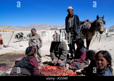 Nomaden Schlachten, Schlachtung Schafe Tibet Stockfoto