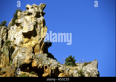 ROCK IN GRANIT VON SALZ VERWITTERUNG CALANCHE KÜSTE PIANA PORTO KORSIKA FRANKREICH ERSTELLTE FORMULARE Stockfoto