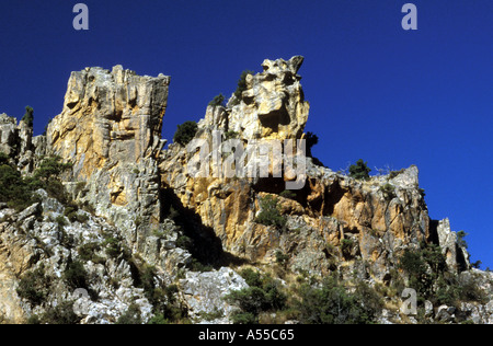 ROCK IN GRANIT VON SALZ VERWITTERUNG CALANCHE KÜSTE PIANA PORTO KORSIKA FRANKREICH ERSTELLTE FORMULARE Stockfoto