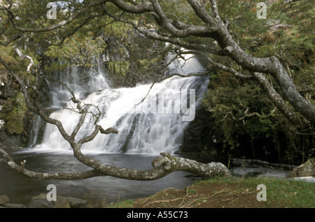 MITTLEREN EAS FORS IN DER NÄHE VON BALLYGOWEN ISLE OF MULL WESTLICHEN SCHOTTLAND Stockfoto