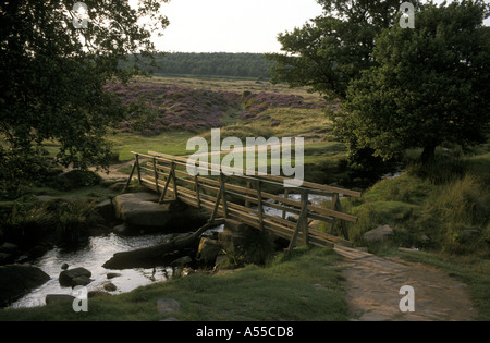 FUSSGÄNGERBRÜCKE ÜBER SCHAUSPIELEREI BACH OBERHALB PADLEY SCHLUCHT LONGSHAW ESTATE PEAK DISTRICT NATIONAL PARK DERBYSHIRE Stockfoto