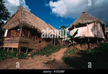 Boca Manu Manu Nationalpark Peru Stockfoto