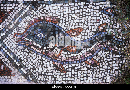 Römische Fische Mosaik, Soli, Guzelyurt, Nord-Zypern, T.R.N.C. Stockfoto