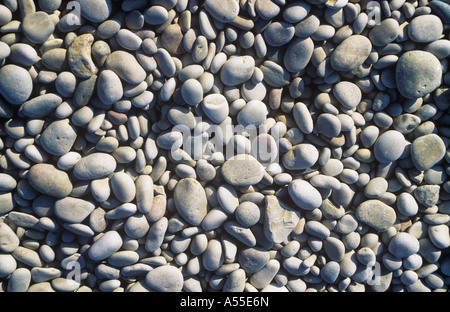 Kieselsteine am Strand Stockfoto