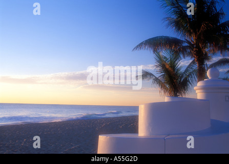 Palmen am Strand von Fort Lauderdale Florida USA Stockfoto