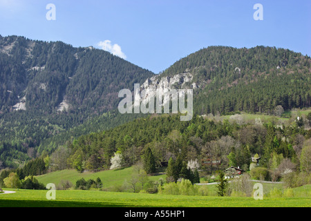 Frühling in prein an der Rax Niederösterreich Österreich Berge Stockfoto