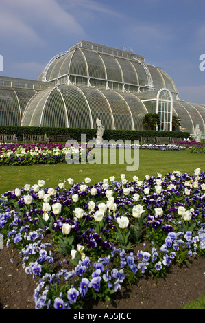 Palm-Haus Kew Gardens London uk Stockfoto