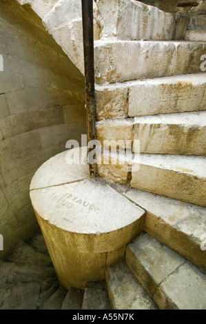 VIS-TURM-SAINT GILLES - GARD - FRANKREICH Stockfoto