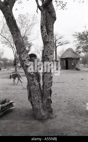 Die San Menschen (oder Saan), auch bekannt als Buschmänner oder Basarwa traditionelles Dorfleben, Kind junge hinter Baum Stockfoto