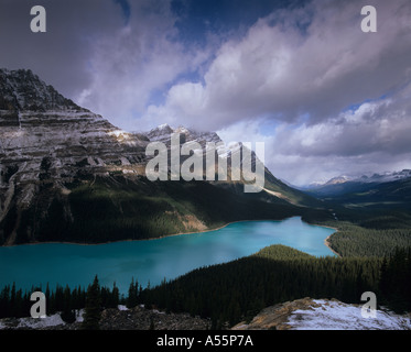 Die blaue Farbe des Peyto Lake vom Bug Gipfel gesehen, im Banff Nationalpark in den Kanadischen Rockies Stockfoto