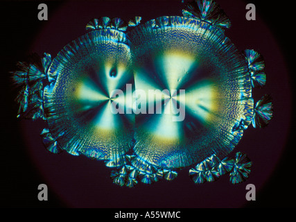 Ascorbinsäure Vitamin C micro Kristallstruktur LM-Schliffbild Stockfoto