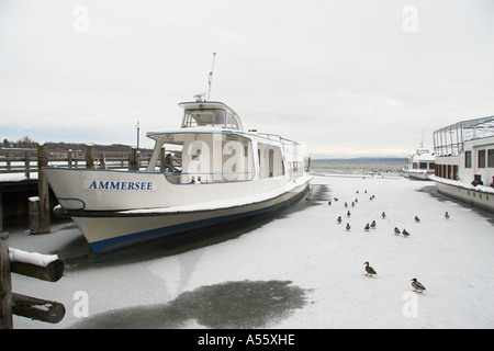 Ammersee Schiffe und Stockenten im Eis Stockfoto