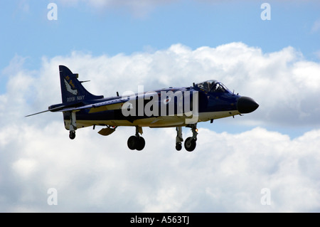 Royal Navy Sea Harrier Stockfoto