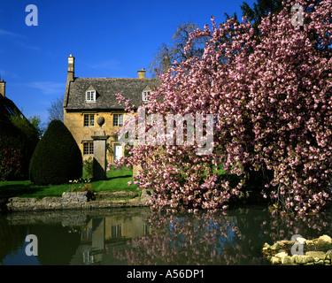 GB - GLOUCESTERSHIRE: Cottage in der Cotswold-Dorf Willersey Stockfoto