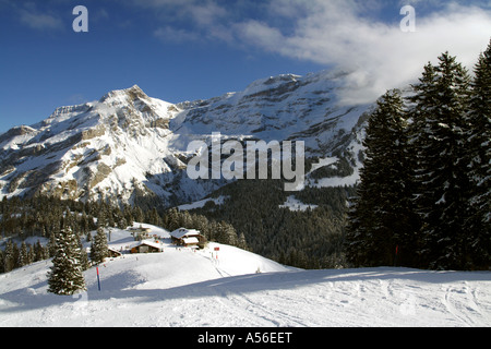 Leere Hang, Schweizer Skiort Les Diablerets, Kanton Waadt, Schweiz Stockfoto