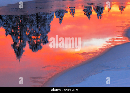 Reflexionen am Fluss im schwedischen Lappland, Winter, Europa, Dezember Stockfoto