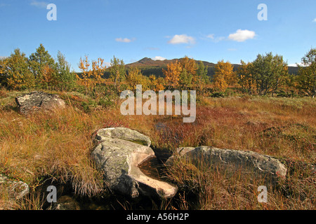 Schweden Härjedalen Berg Fels Gras Herbst Stockfoto