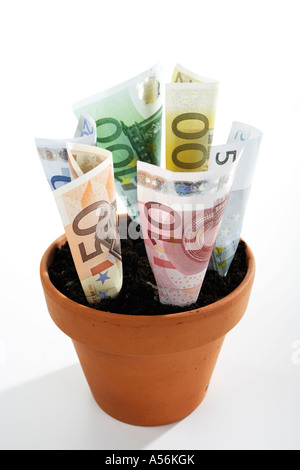 Euro-Banknoten im Blumentopf wachsen Stockfoto