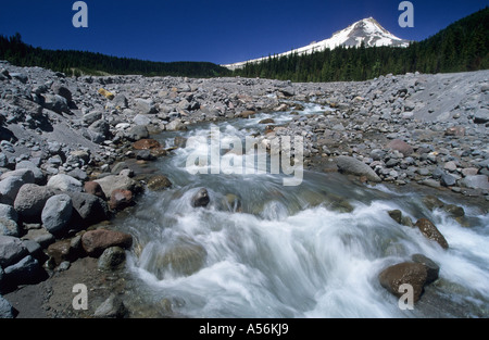 Bergbach am Mount Hood in der Nähe von Portland, Kaskade-Strecke, Oregon, USA Stockfoto