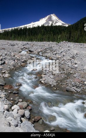 Bergbach am Mount Hood in der Nähe von Portland, Kaskade-Strecke, Oregon, USA Stockfoto