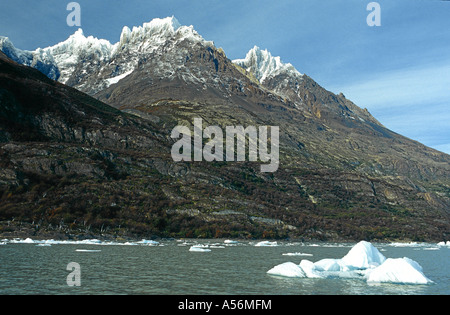 Eisberge Lago Grey Cerro Paine Grande Torres del Paine Nationalpark NP Chile Stockfoto