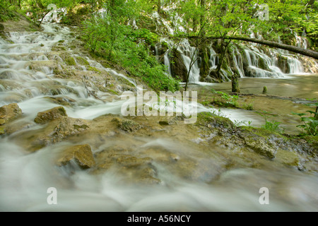 Plitvicer gesehen Fernsehreihe Wasser Kaskaden durch den Wald Nationalpark Plitvicer Seen-Kroatien Stockfoto