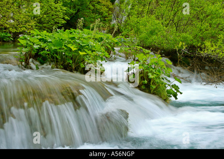 Plitvicer gesehen Fernsehreihe Wasser Kaskaden durch Wald Nationalpark Plitvicer Seen-Kroatien Stockfoto