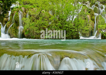 Plitvicer gesehen Fernsehreihe Wasser Kaskaden durch Wald Nationalpark Plitvicer Seen-Kroatien Stockfoto