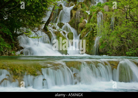 Plitvicer gesehen Fernsehreihe Wasser Kaskaden durch Wald Nationalpark Plitvicer Seen-Kroatien Stockfoto