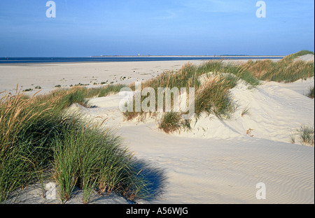 Baltrum Duenen Ostfriesische Inseln Nordsee Deutschland Stockfoto