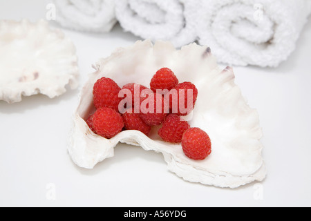 Raspberries in sea shell Stockfoto