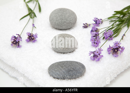Lavendel, Handtücher und Kiesel, close-up Stockfoto