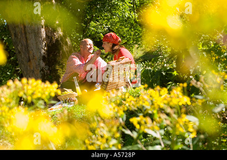 Picknick unter Baum, Fütterung Frau Mann paar Stockfoto