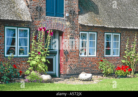 Oeoemrang Farbtöne Nebel Amrum Nordfriesische Inseln Deutschland Stockfoto