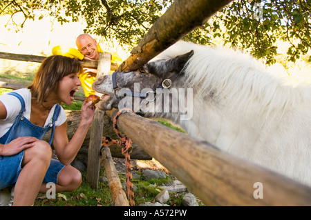 Frau Fütterung pony Stockfoto